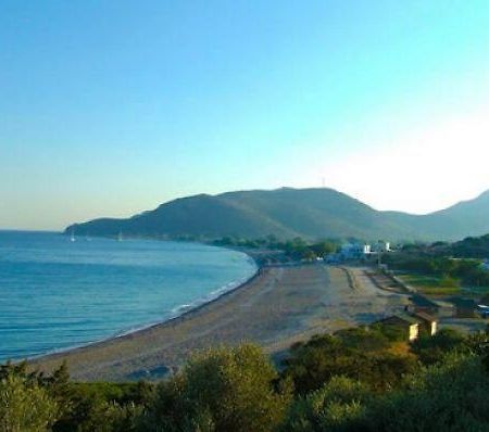Deniz Apart Hotel Palamut Buku Exterior foto